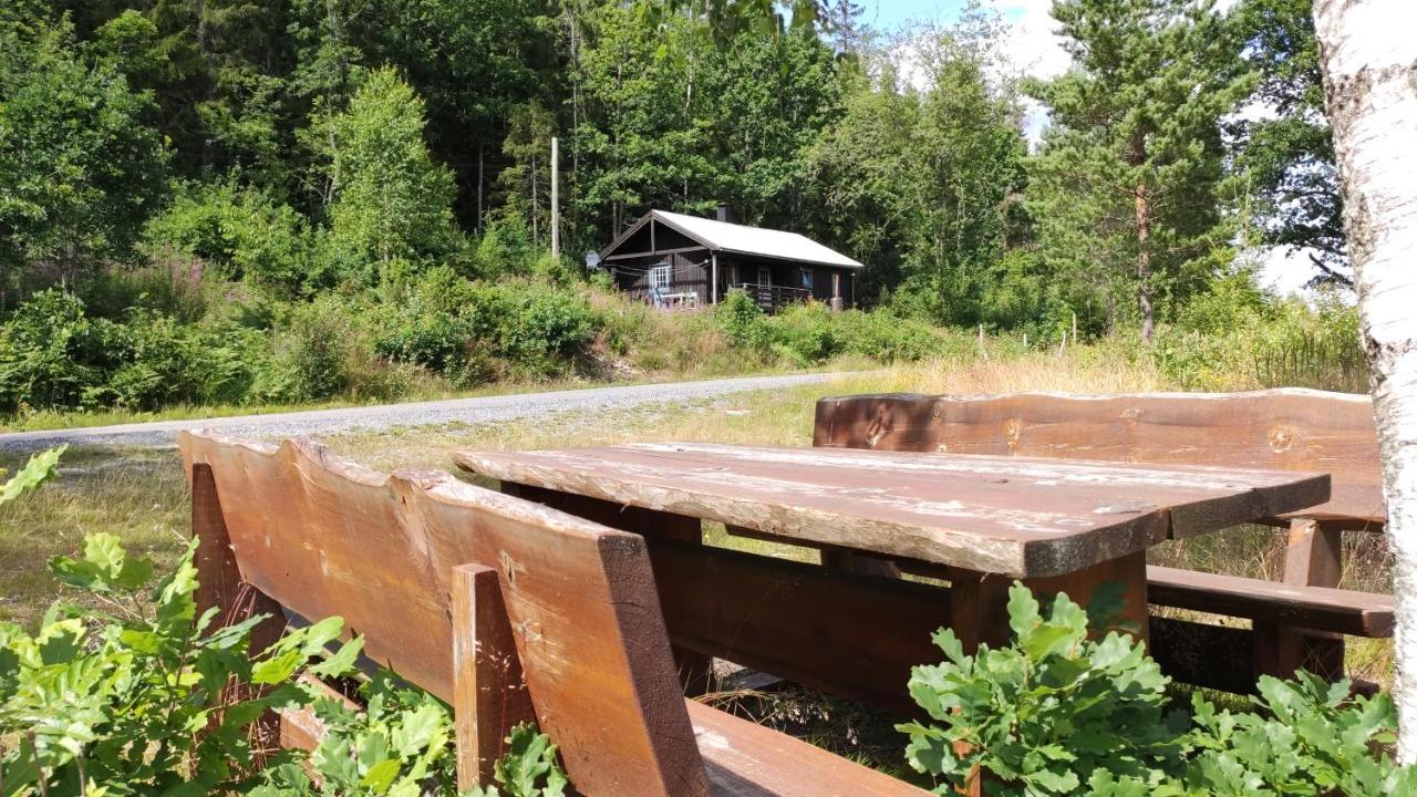 Solheim. Hytte Med 2 Soverom Birkenes Exterior foto